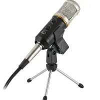 میکرفون bm800p