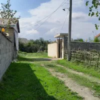 فروش۳۰۰متری/زمین باغی داخل طرح/برجاده/اطراف شفت|فروش زمین و ملک کلنگی|شفت, |دیوار