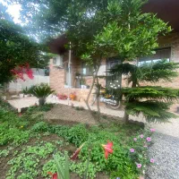 فک-کن-تو-عمارتی-هر-روز-صدای-پرنده-ها-بیدارت-میکنه