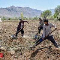 باغ اسبار /باغ اسپار /بااکیپ کامل