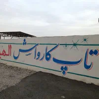 نیروی کار کارواش