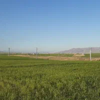 ۲۰۶۰۰متر زمین سردخانه مجوزدار،دارای چاه عمیق|فروش زمین و ملک کلنگی|میانه, |دیوار