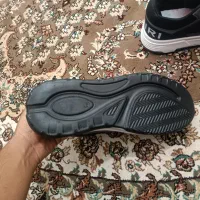 کفش|کیف، کفش، کمربند|کرمان, |دیوار