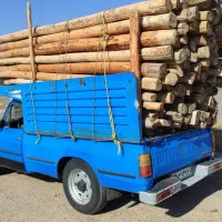 برش وخریدار چوب باغی وخشک
