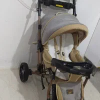 کالسکه دلیجان درحد نونو حرفه ای