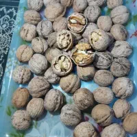 گردوی پرچرب تویسرکان