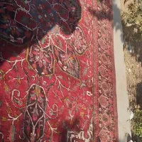 فرش طبیعی 3000شانه تبریز ۱۲ متری دوجفت|فرش|میاندوآب, |دیوار