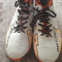 کفش سالن|کیف، کفش، کمربند|نقده, |دیوار