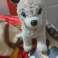 اسباب بازی|اسباببازی|بروجرد, |دیوار