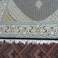 فرش مشهد آرا ۹ متری|فرش|تربت جام, شهرک معلم|دیوار