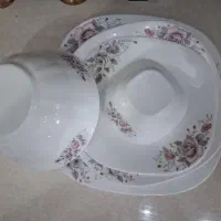 سرویس آرکوپال ایرانی