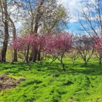 جایی-که-افق-تمام-نمی-شود-باغ-ویلای-5-هکتاری
