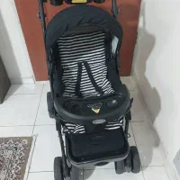 کالسکه بنیتا دلیجان درحدنو