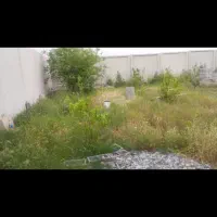 خدمات علفزنی هرس سم پاشی  به بهترین شکل