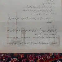 سهام پیدا شده است