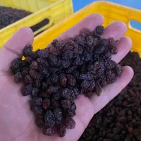 کشمش آفتابی پلویی|خوردنی و آشامیدنی|تاکستان, |دیوار