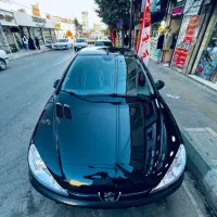 206SD V8 مدل ۹۴|خودرو سواری و وانت|تهران, جنت‌آباد شمالی|دیوار