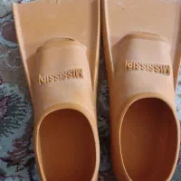 فین شنا