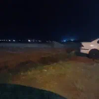 کالوبیاقرمز