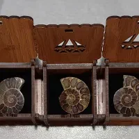 فسیل آمونیت|جواهرات|تهران, جنت‌آباد جنوبی|دیوار