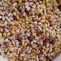 نیازمند بازاریاب خانم در پخش مواد غذایی