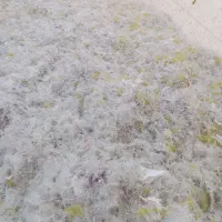 کندری وپرک نایلون|حراج|الوند, |دیوار