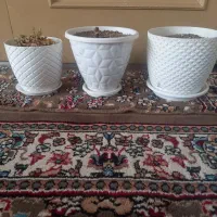 ۳عدد گلدان تمیز و سالم
