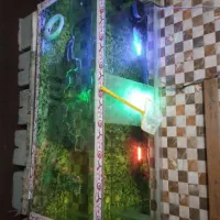 اکوایوم|ماهی|بندرعباس, |دیوار