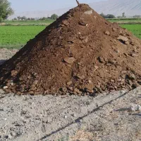 خرید و فروش کود گوسفند و گاو|خدمات باغبانی و درختکاری|فیروزآباد (فارس), |دیوار