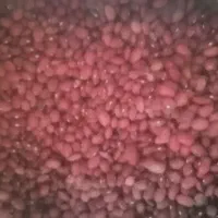 لوبیا چیتی ولوبیا قرمز سرحد