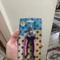 ملزومات گربه|گربه|ارومیه, |دیوار