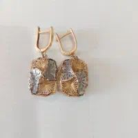 النگو و گوشواره|جواهرات|رامهرمز, |دیوار