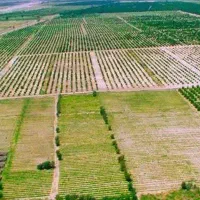 زمین - شهرک گلخانه ها