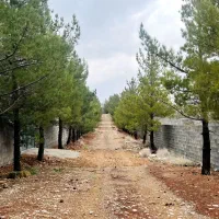 فروش-باغشهری-دوکوهک-تعاونی-پزشکان-بادرودیوار-و-سند