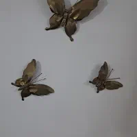 پروانه برنز