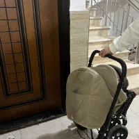 کالسکه|کالسکه و لوازم جانبی|صومعه‌سرا, |دیوار