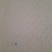 رنگ کاری ساختمان و طرح کاغذ دیواری|خدمات پیشه و مهارت|خرم‌آباد, |دیوار