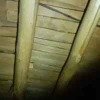 خرید و فروش چوب خشک و تر قاسمی.|خدمات باغبانی و درختکاری|ارومیه, |دیوار