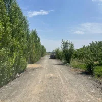 چهار-دیوار-مناسب-برای-باغچه-ویلا