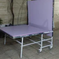 میز پینگ پونگ ( تنیس رو میز )|تجهیزات ورزشی|ری, علایین|دیوار