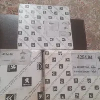 تعدادی دست لنت ۲۰۶