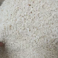 برنج سالم علی کاظمی