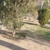 کیف پول گمشده مژدگانی دارد