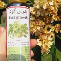 کود تقویتی گل آپارتمانی و قیم پتوس، خاک مخلوط|گل و گیاه طبیعی|رشت, پیرکلاچای|دیوار