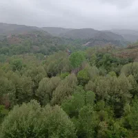 سوئیت تراس دار با مناسب ترین قیمت|اجارهٔ کوتاهمدت آپارتمان و سوئیت|مشهد, پارک کوهستان|دیوار