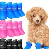 پت شاپ اکواریوم پرنده سرا