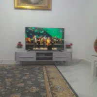 تلوزیون۵۰ اینچ دنای سالم سالم به شرط کار