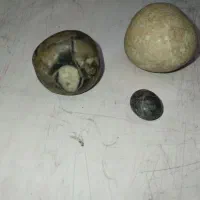 سنگ کهنه وطبیعی اصابت فسیل