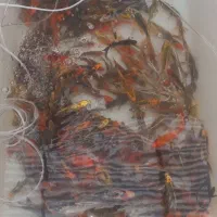 بچّه ماهی کپور و آمور و غیره|ماهی|اصفهان, الهیه|دیوار