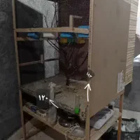 قفس پرنده